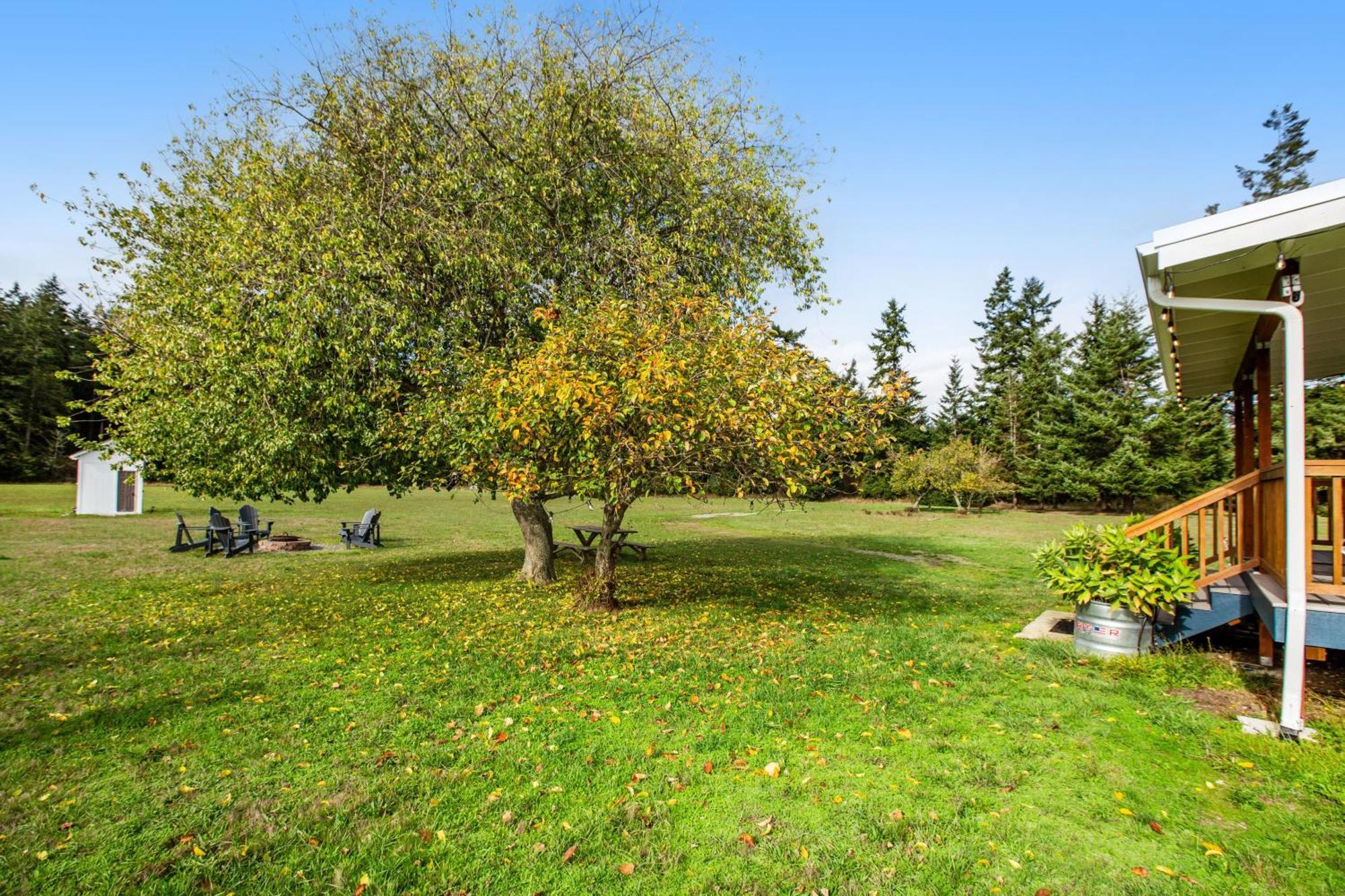 Historic Officer'S Farmhouse At Olf Coupeville Exterior foto